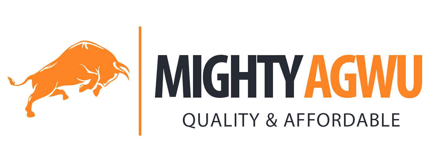 Mighty Agwu Investments
